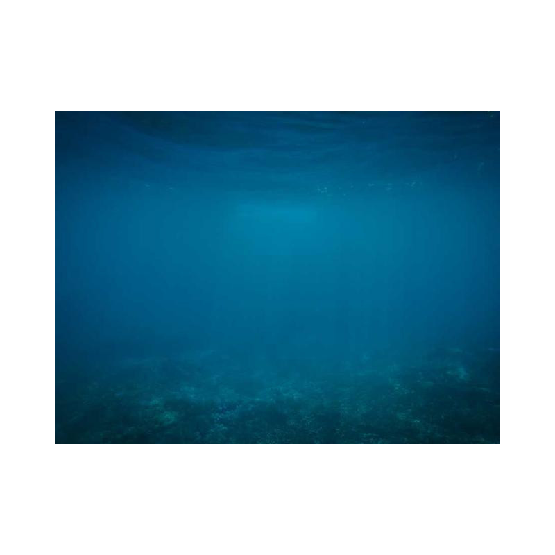 Incredible Wooden Gloves fr-FR